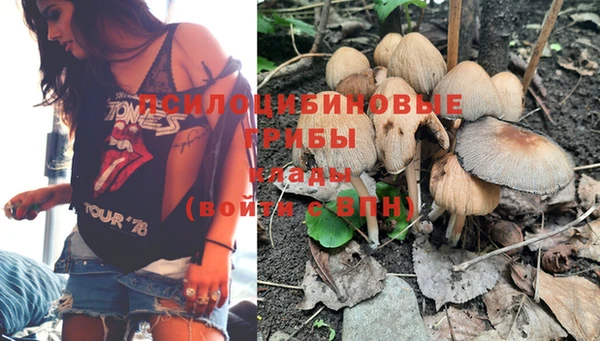 амф Горнозаводск