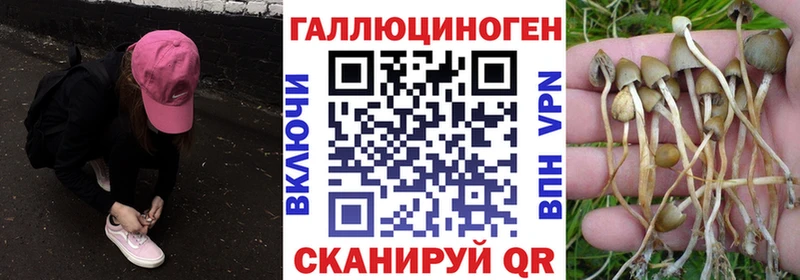 Галлюциногенные грибы Cubensis  купить наркоту  Дивногорск 